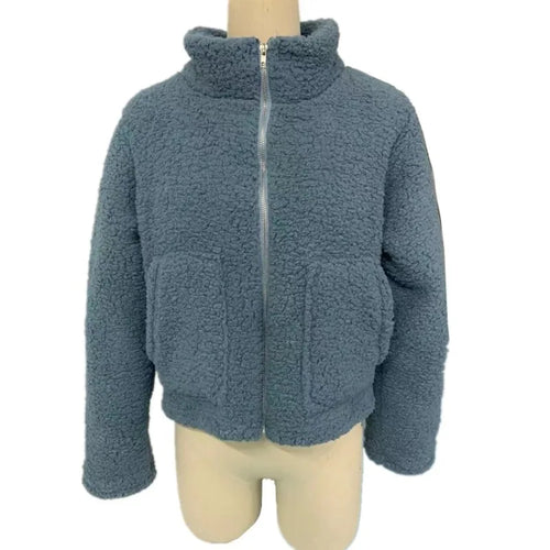 Autumn Winter Faux Fur Coat Women 2026 Casual Warm Soft Zipper Fur Short Jacket Plush Overcoat Pocket Teddy Coat Female Jacket